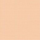 Micro Gingham Col. 105